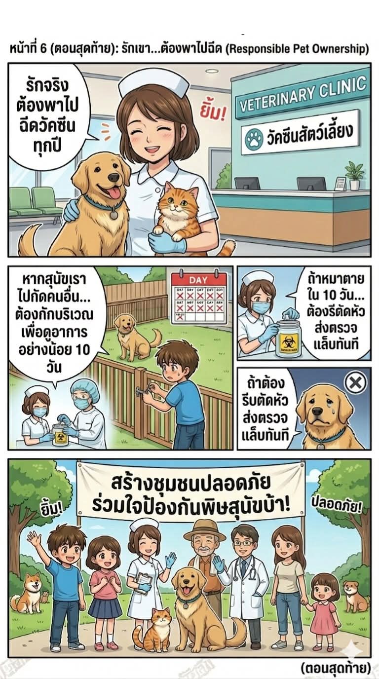 🐱 "รักจริงต้องฉีด... รับผิดชอบจริงต้องดูอาการ" บทสรุปส่งท้ายซีรีส์พิชิตพิษสุนัขบ้า!