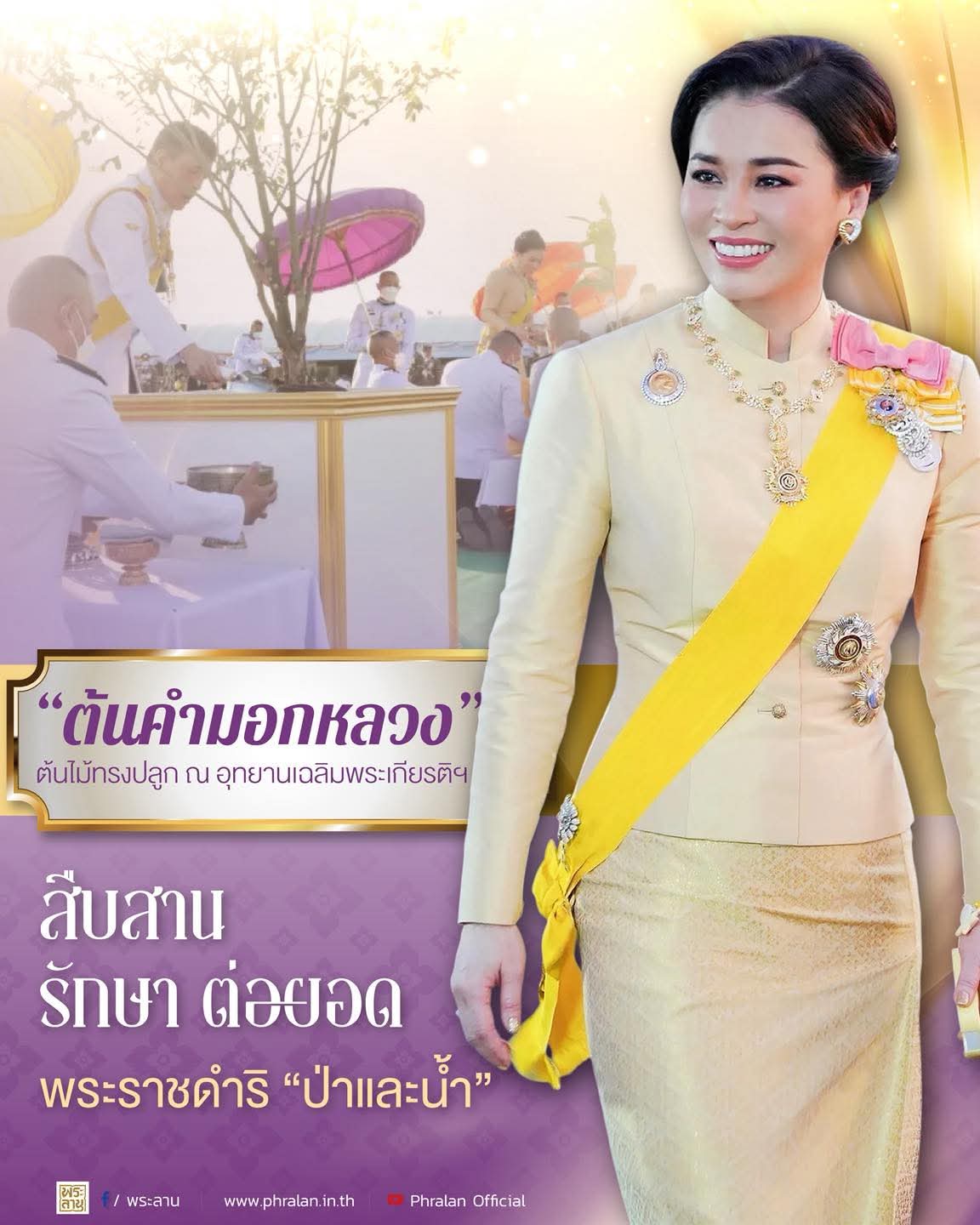 &ldquo;ต้นคำมอกหลวง&rdquo; ต้นไม้ทรงปลูก ณ อุทยานเฉลิมพระเกียรติฯ สืบสาน รักษา ต่อยอด พระราชดำริ "ป่าและน้ำ"