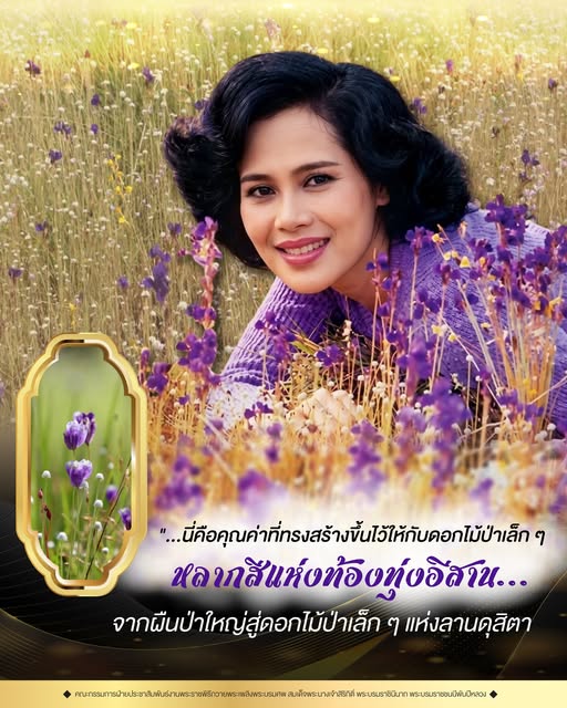 นี่คือคุณค่าที่ทรงสร้างขึ้นไว้ให้กับดอกไม้ป่าเล็ก ๆ หลากสีแห่งท้องทุ่งอีสาน..." จากผืนป่าใหญ่สู่ดอกไม้ป่าเล็ก ๆ แห่งลานดุสิตา