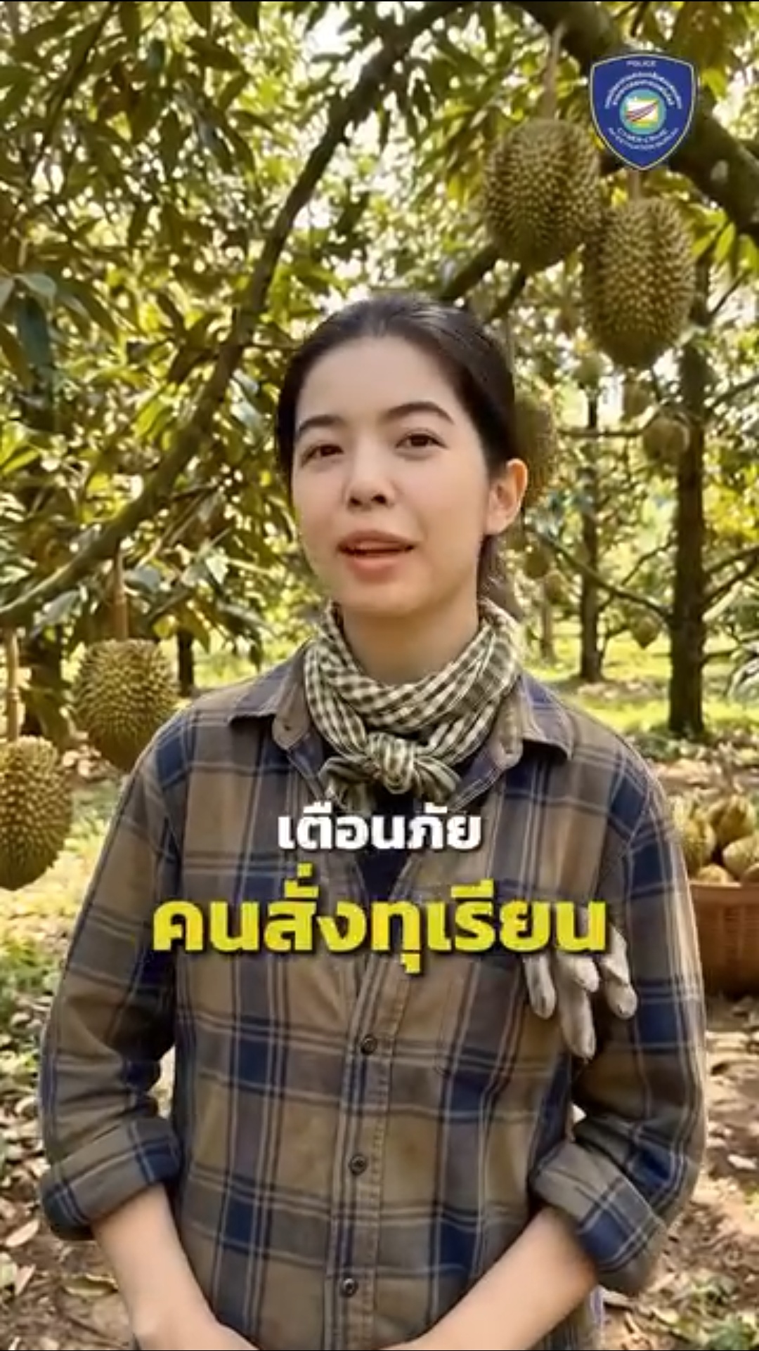 ทุเรียนเนื้อแน่นๆ ราคาถูก ลูกใหญ่ มีจริงไหม ต้องเช็กให้ดีนะ